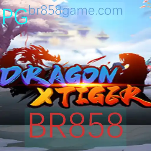 Descubra o Empolgante Mundo de DragonXTiger